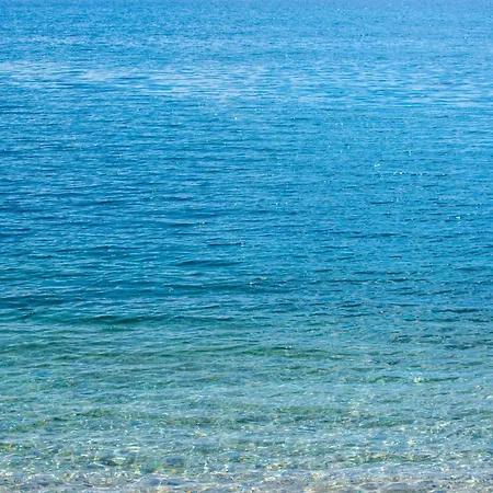 Novoselic Апартаменты