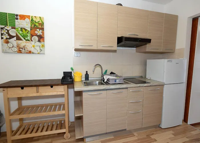 Διαμέρισμα Novoselic